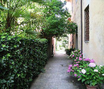 Fattoria Di Bacchereto - Guest House Экстерьер фото